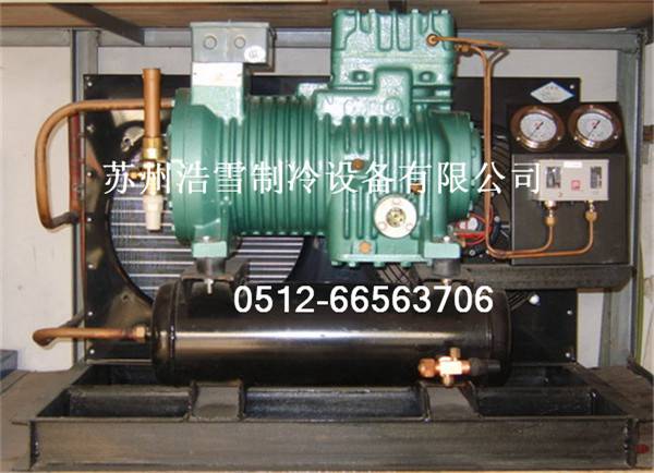 ѩӥ�������